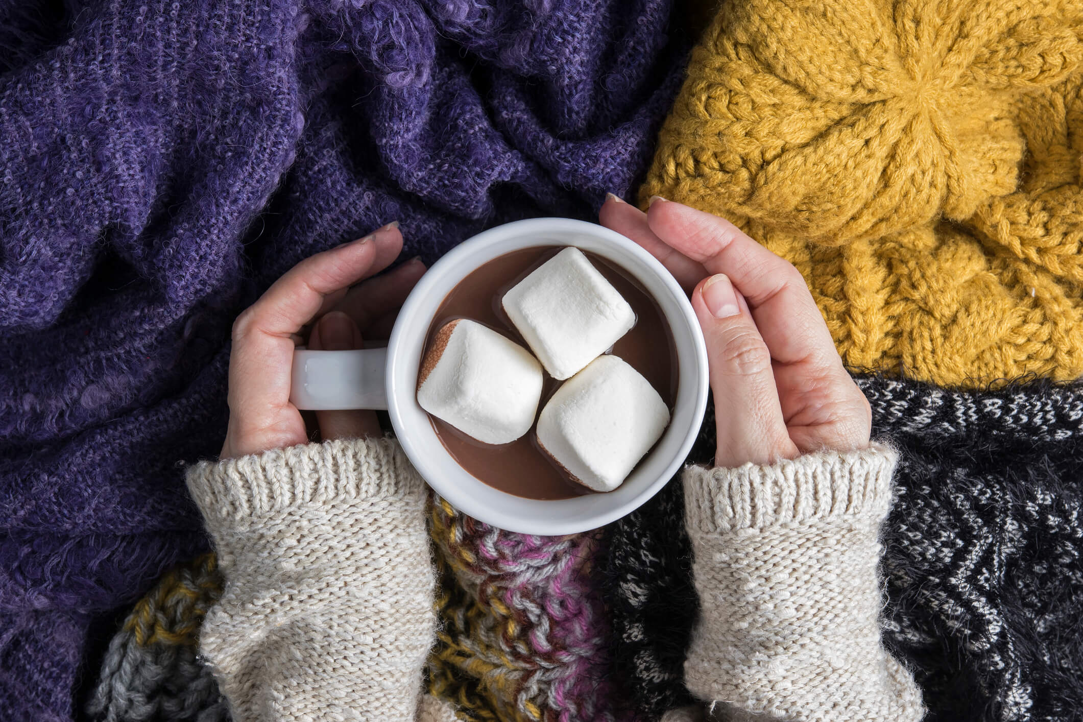 cup of hot chocolate with marshmallows