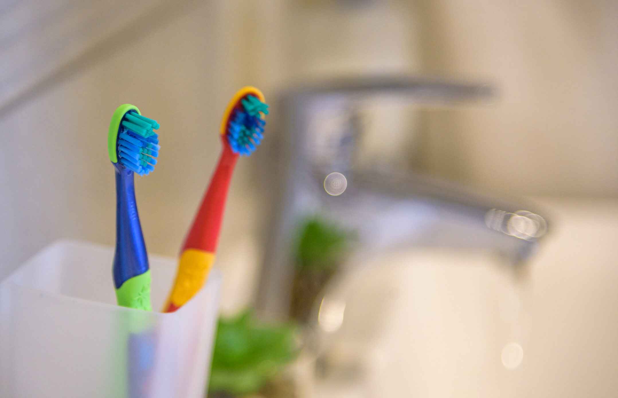 two toothbrushes on sink